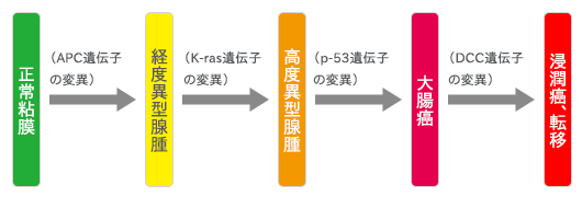 大腸がんの原因